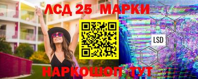 спиды Кинель