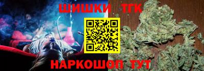 тгк Камышлов