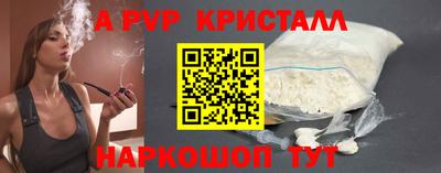 гидра Кингисепп